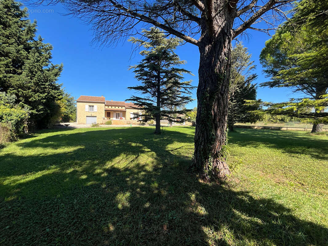 Maison à ALTHEN-DES-PALUDS