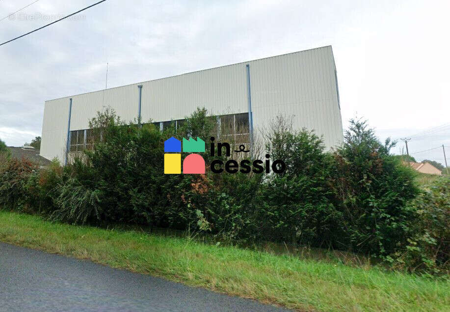 Immobilier Professionnel à vendre Moncé-en-Belin - photo 6