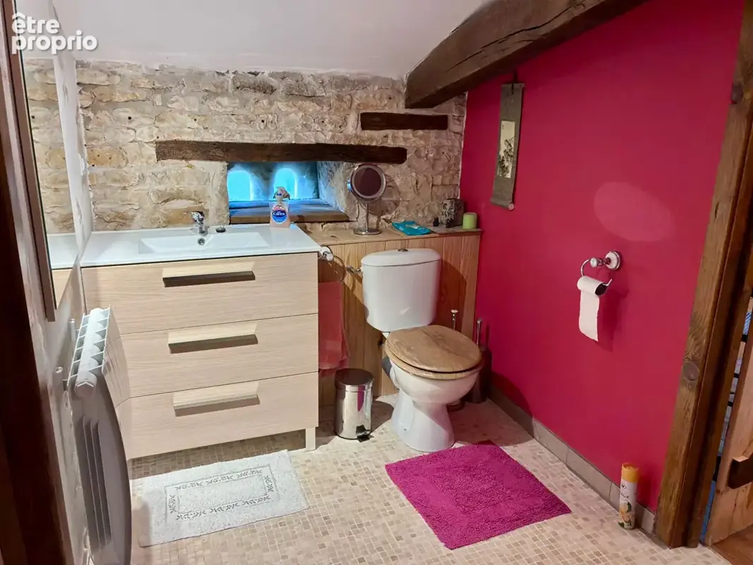 CHARENTE - Proche VERTEUIL-SUR-CHARENTE - Maison et maison d'amis - 13 Pièces - photo 8