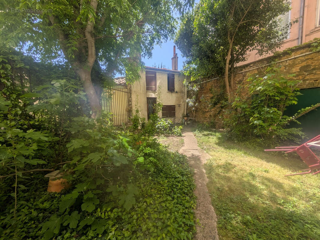 Appartement 22 m² à Lyon-1e  - photo 5