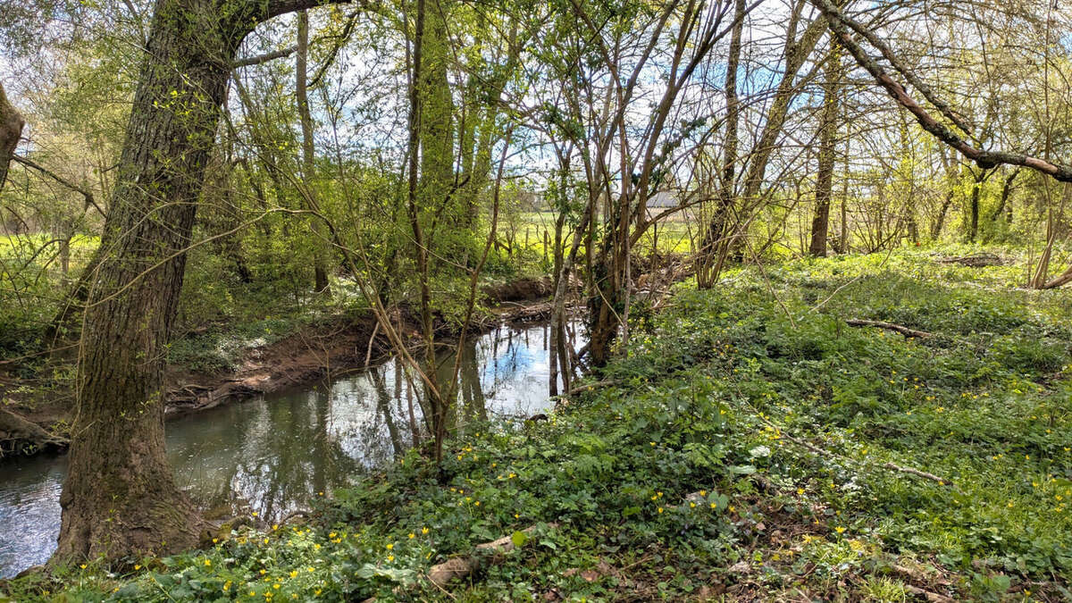 Maison à SAINT-MARTIN-L'ARS