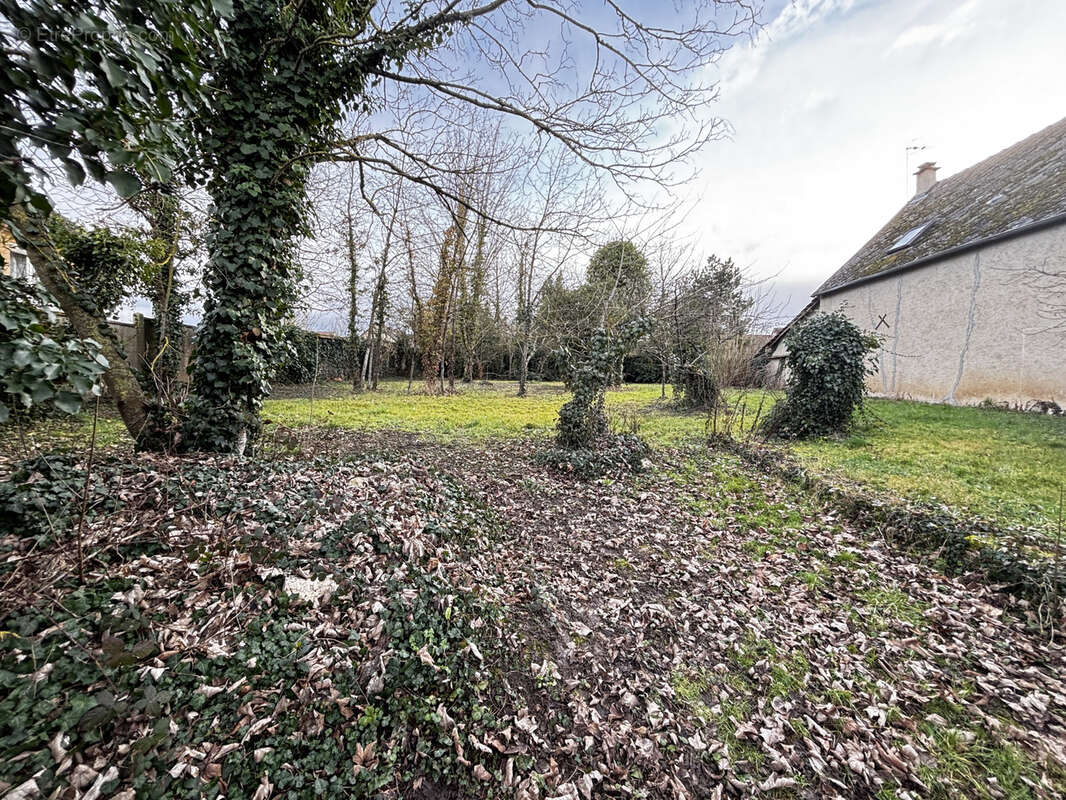 Terrain à DAMMARIE