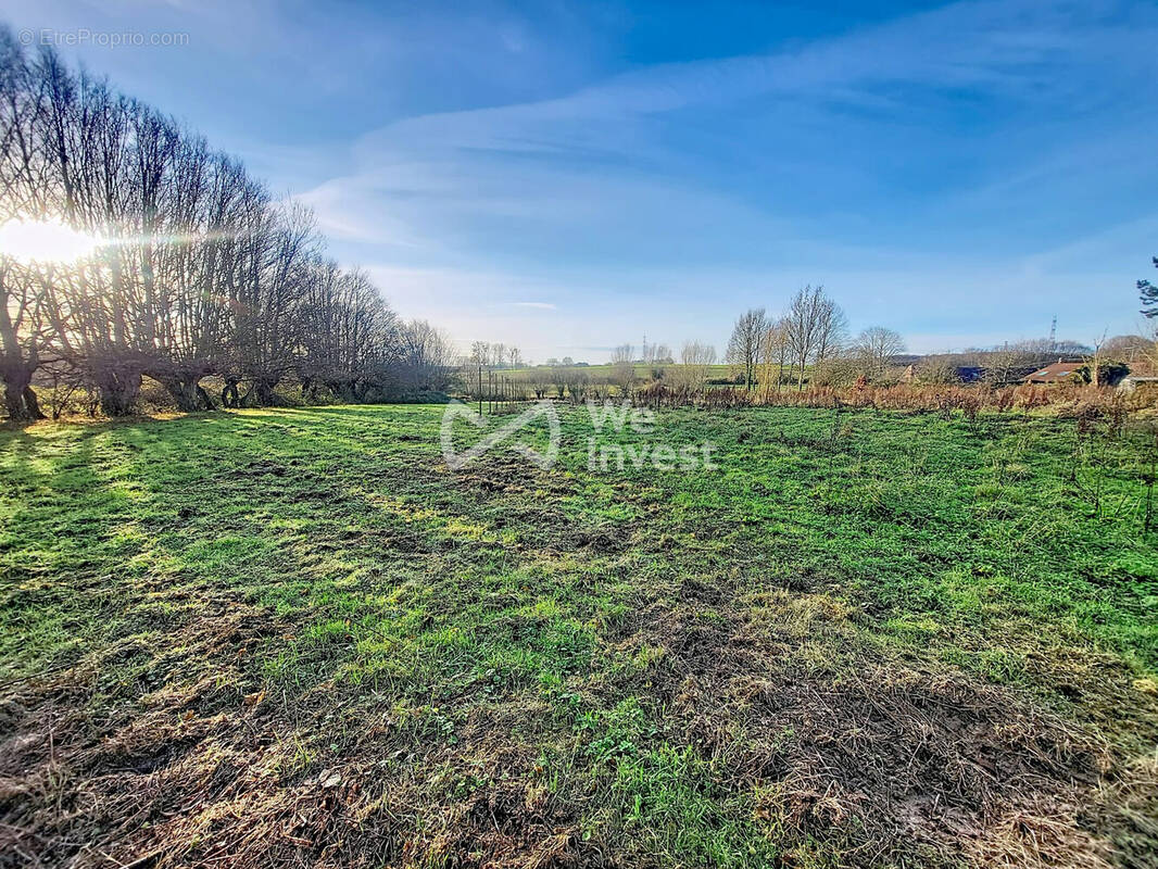 Terrain à HARGNIES