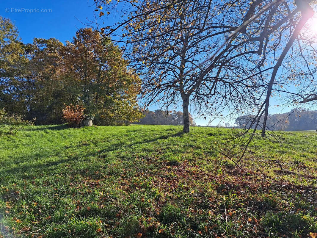 À Vendre : Charmante Propriété à rénover dans l'Entre-Deux-Mers - Réf 97 - photo 5