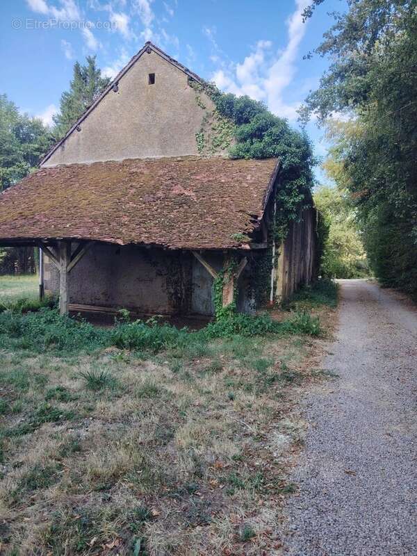 À vendre longère terrain 1,8 ha St-Malo-en-Donziois - photo 39