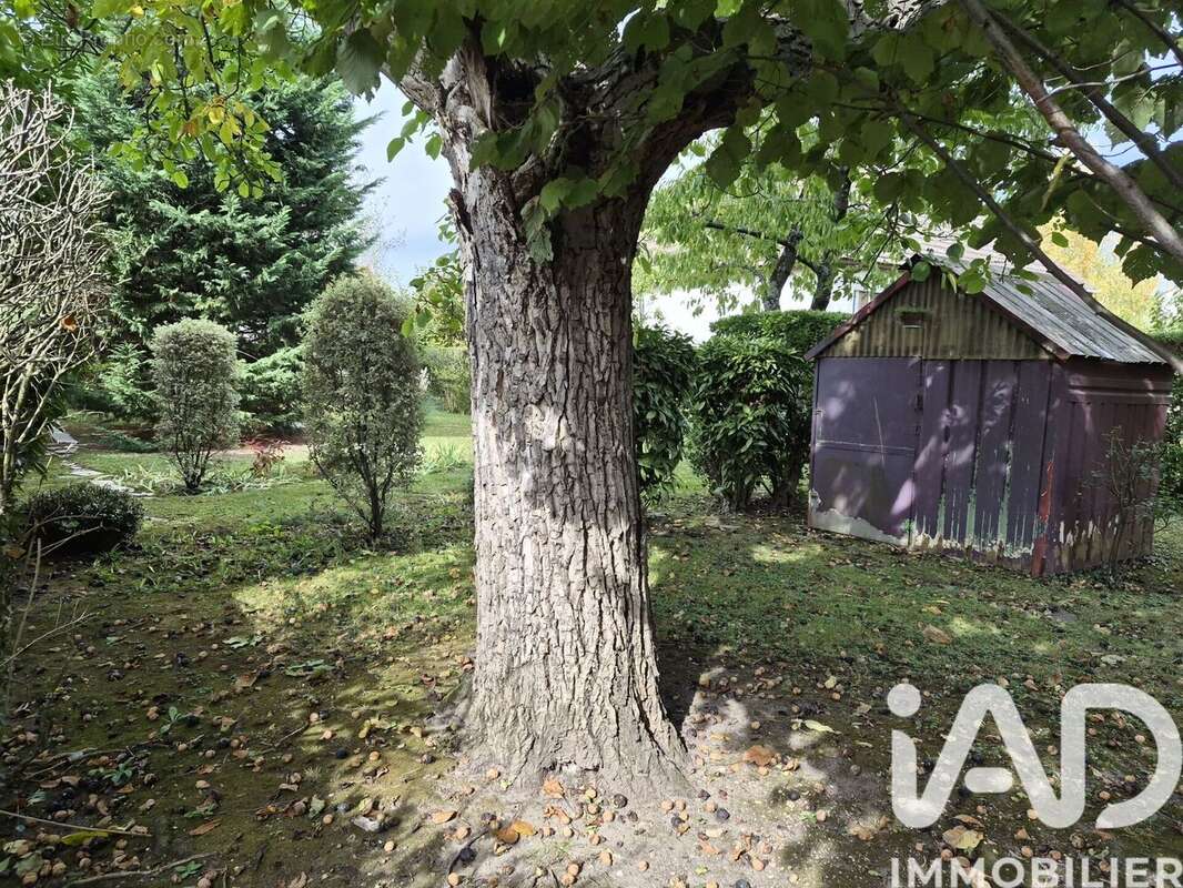 Photo 3 - Maison à BONNEUIL-SUR-MARNE