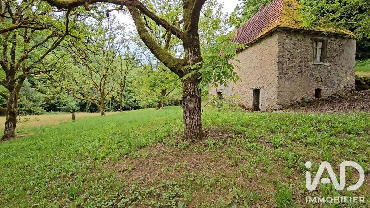 Maison 40 m² à Altillac  - photo 2