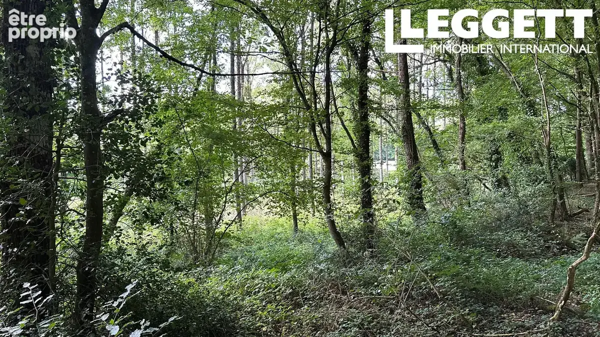 Un terrain boisé, un magnifique espace naturel au cœur de la Bretagne centrale - photo 5
