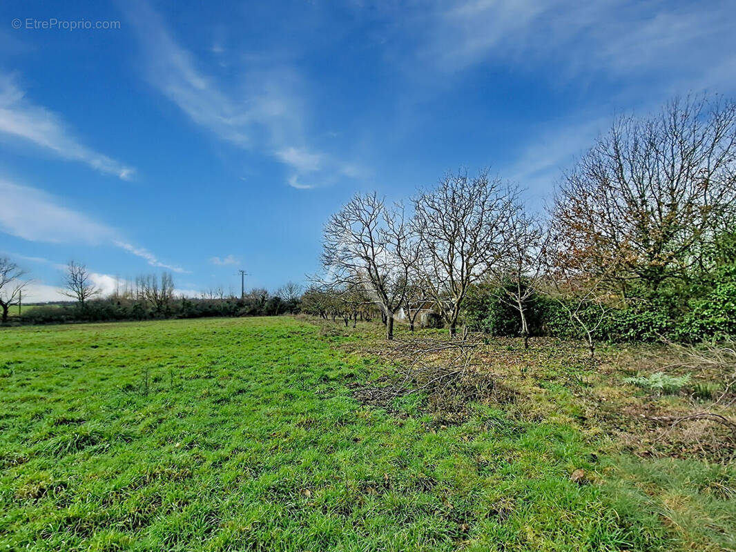 Terrain à VIHIERS