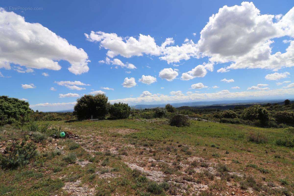 A vendre propriete de 8 hectares  au coeur du  minervois (34) - photo 12