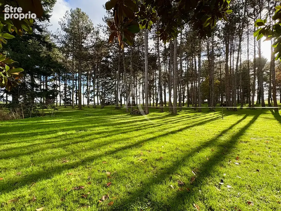 Saint-Georges-sur-Cher - Propriété d'exception, au calme absolu - photo 10