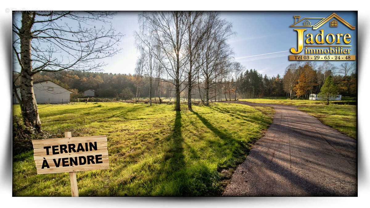 Terrain à SAULCY-SUR-MEURTHE