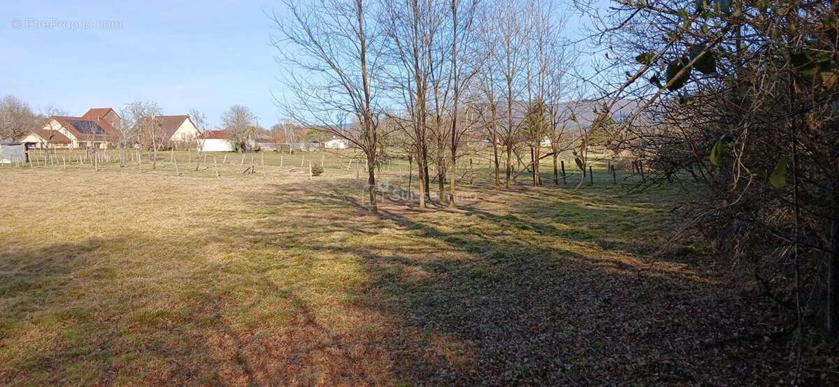 Maison à MONTESSAUX