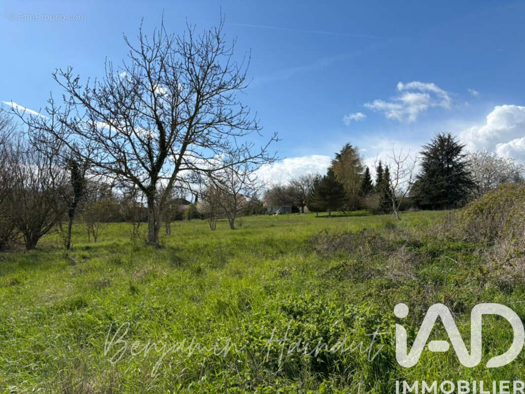 Photo 6 - Terrain à PROVINS