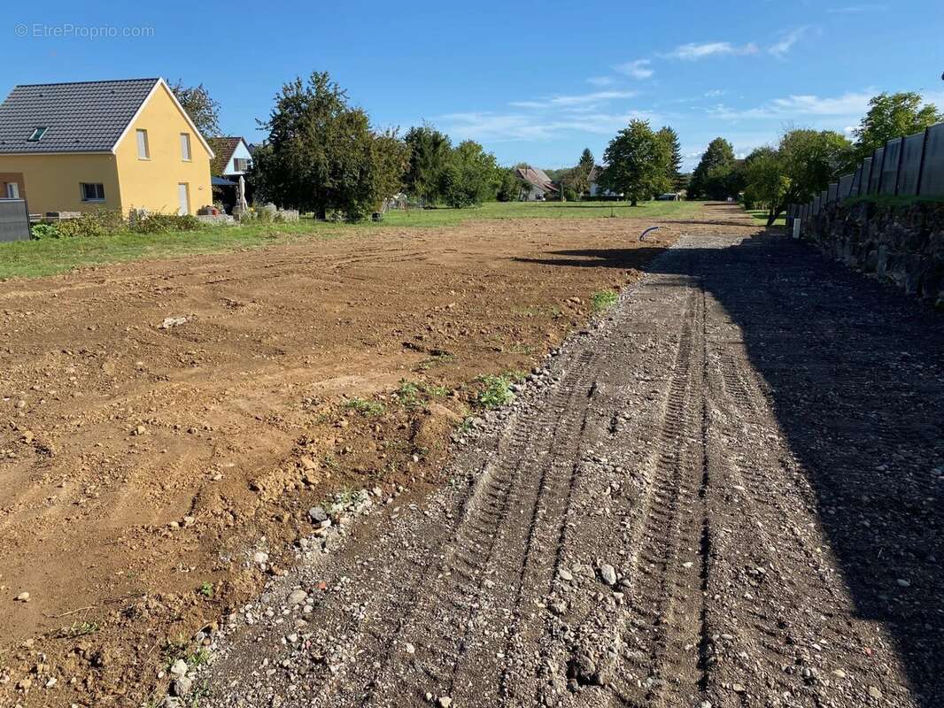Terrain à SPECHBACH-LE-BAS