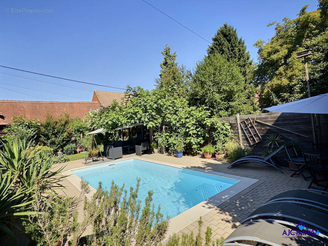 Maison 354 m² à Olwisheim  - photo 5