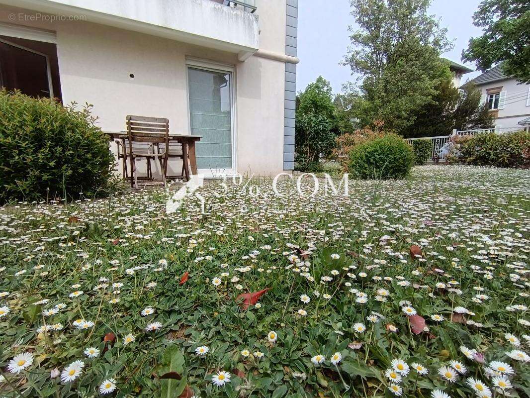 Appartement à MOLSHEIM