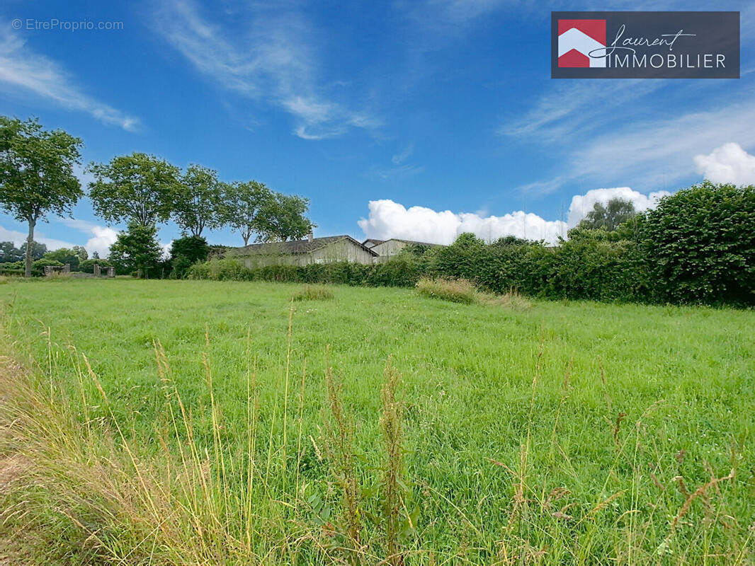 Terrain à SAINT-BENIGNE
