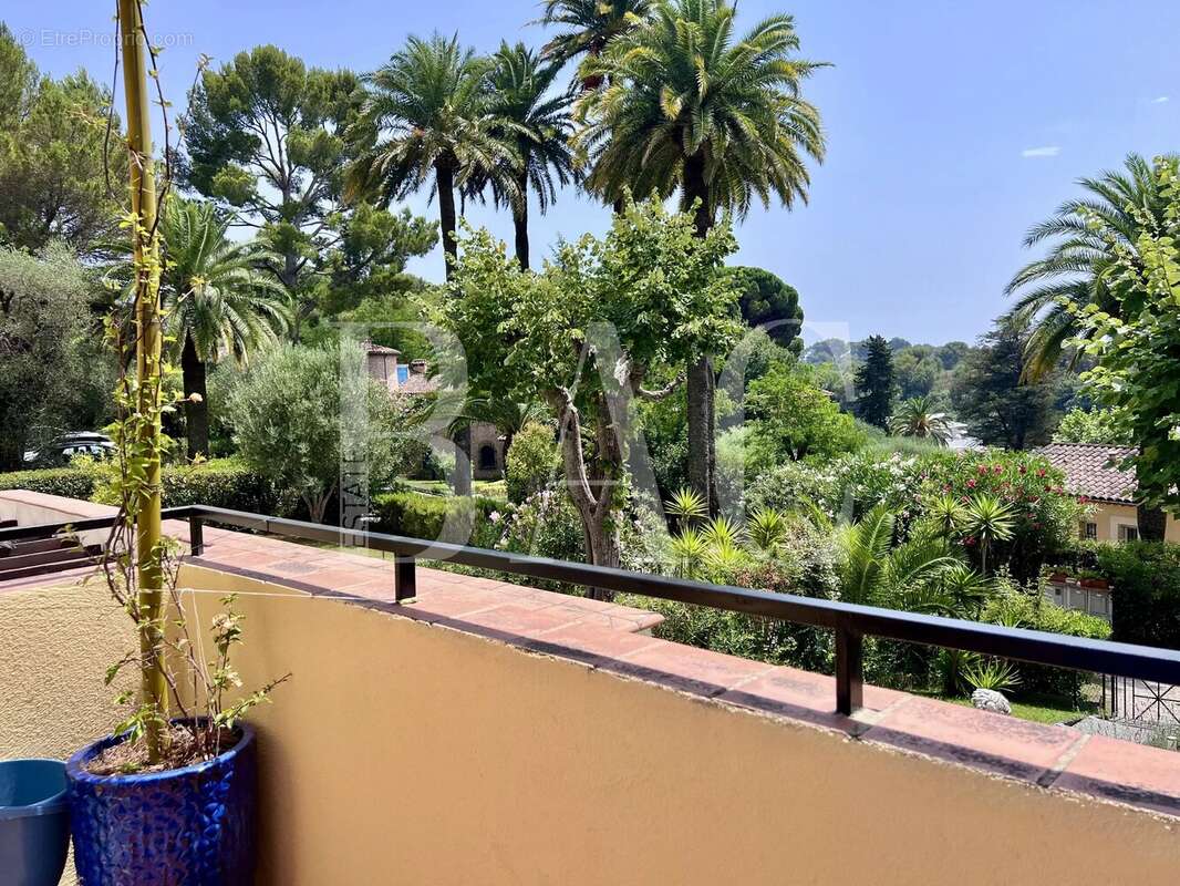 Charmante maison rénovée avec jardin, terrasse et piscine en résidence – Cannes La Bocca - photo 3
