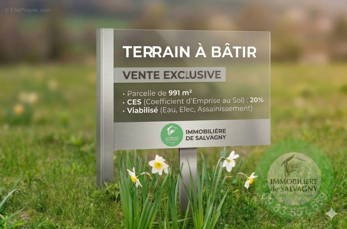 Terrain à LA TOUR-DE-SALVAGNY