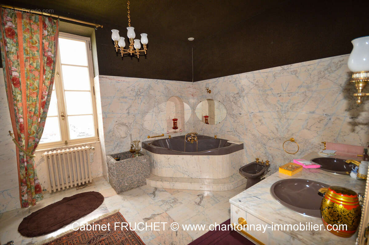 Maison à LA CHATAIGNERAIE