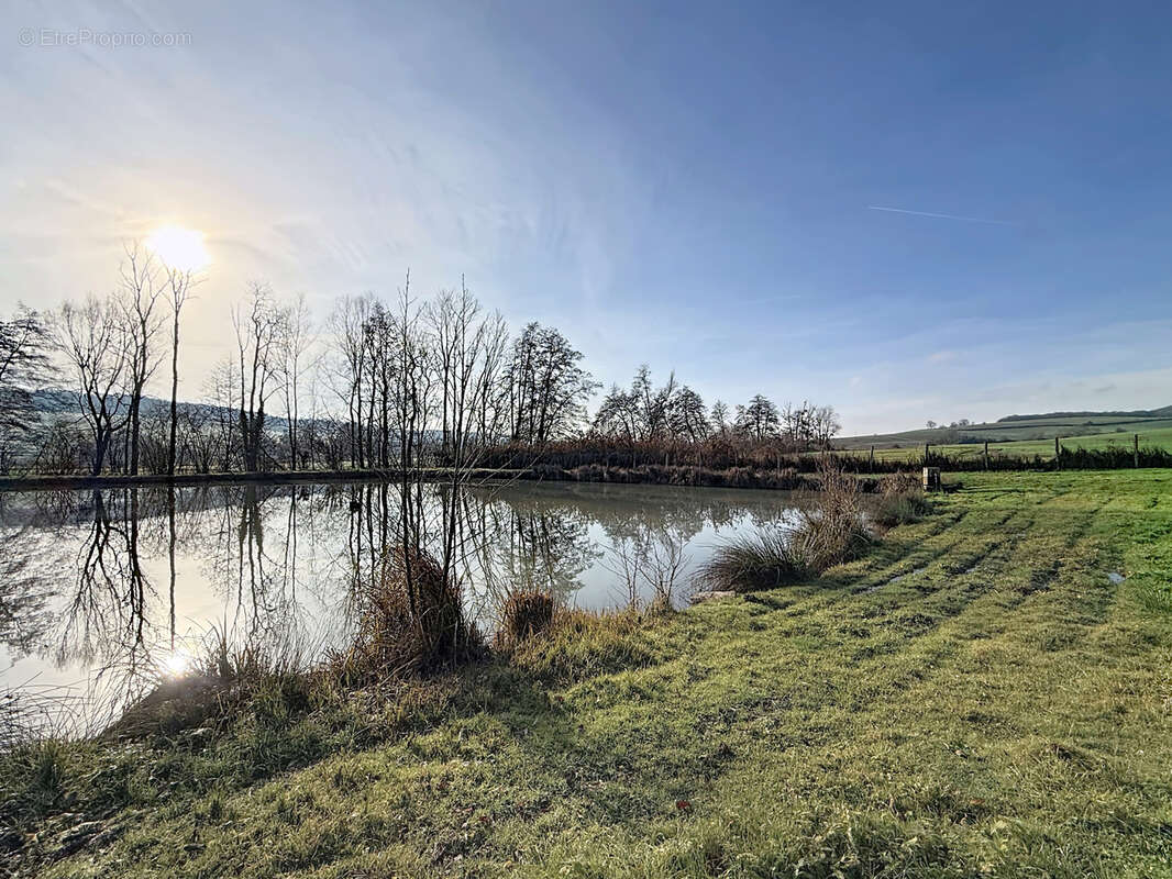 Terrain à MIRECOURT