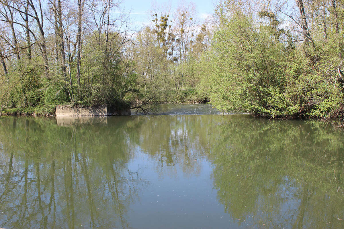 Maison à BEAUMONT-SUR-SARTHE