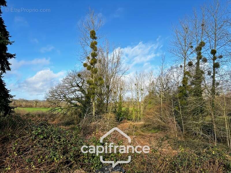 Longère en pierre à rénover avec dépendances et 6 000 m² de terrain - photo 12