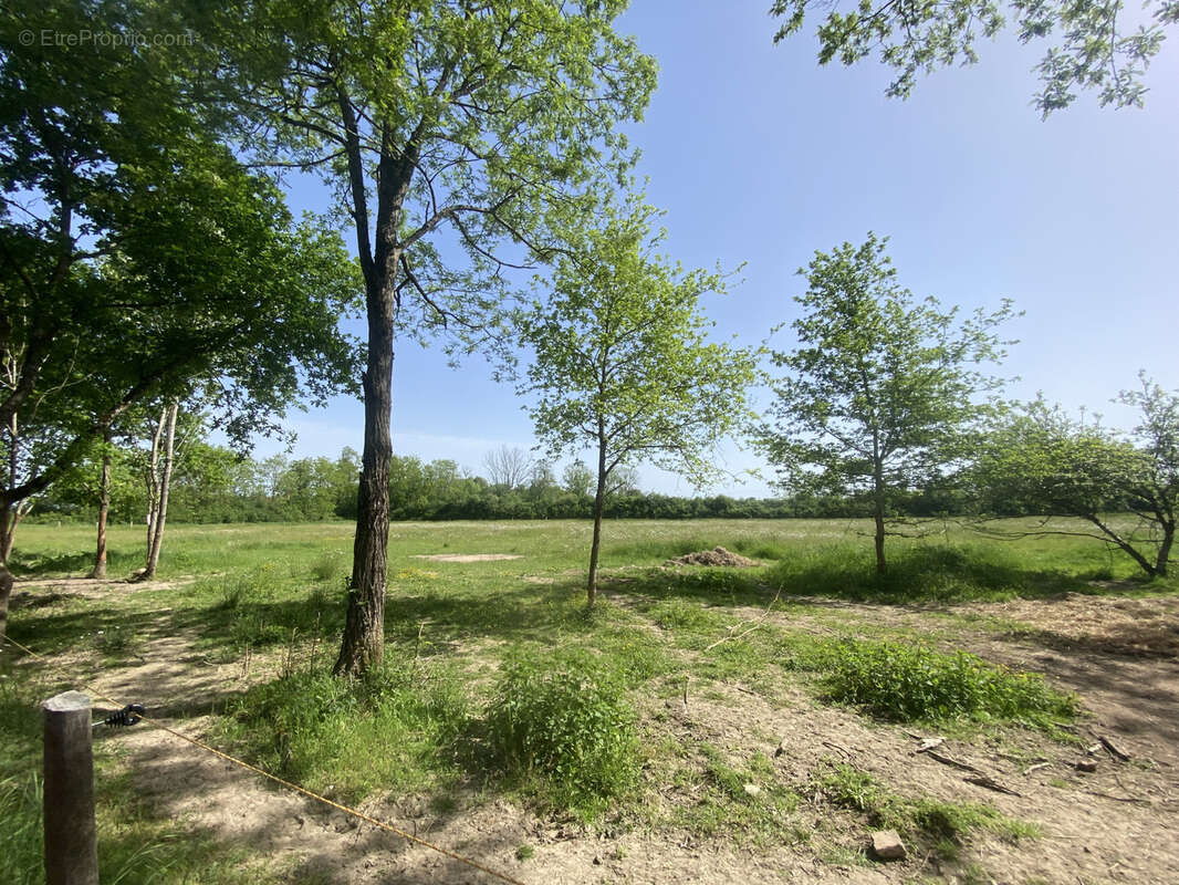 Maison à GANNAY-SUR-LOIRE