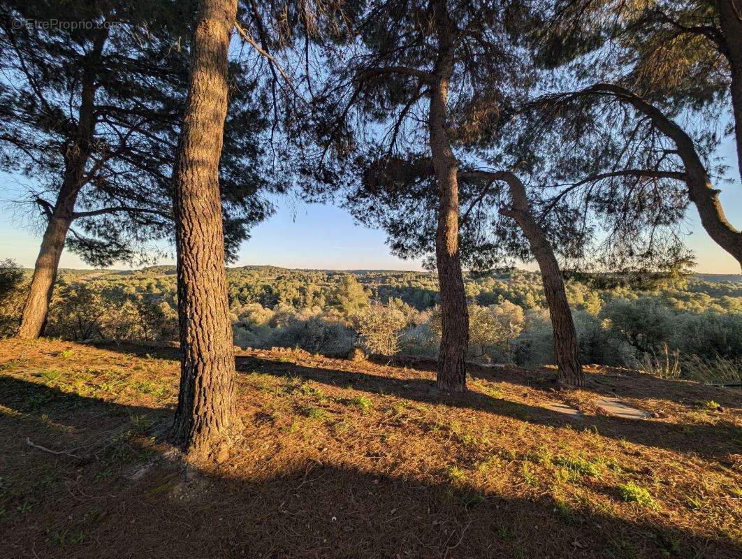 Maison à CASTELNAU-DE-GUERS