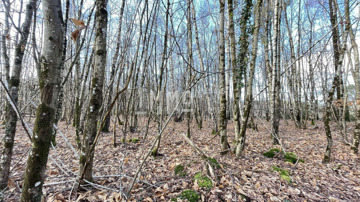 Terrain à LE GRAND-LUCE