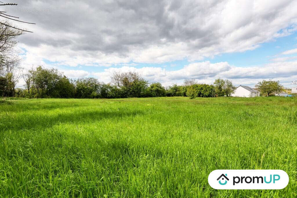 Terrain à NOHANT-EN-GOUT