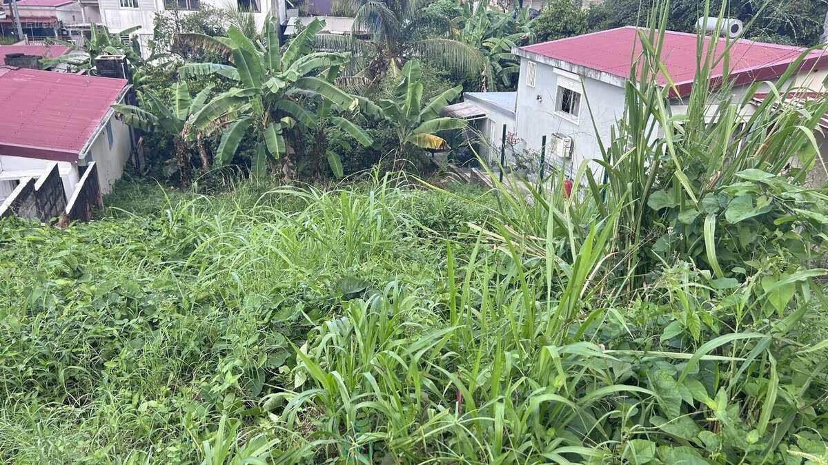Terrain à FORT-DE-FRANCE
