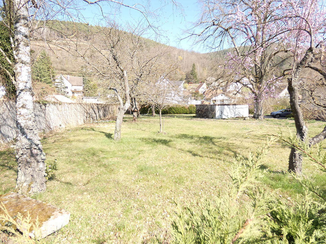 Terrain à BUHL