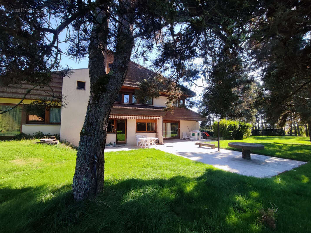Maison à AMBERT