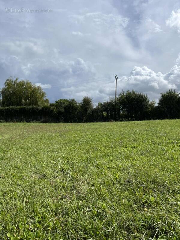 Terrain à LE CHEVAIN