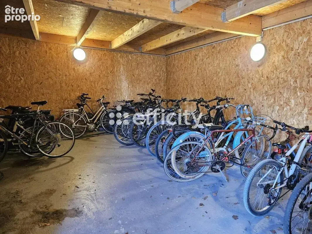 Appartement - photo 12
