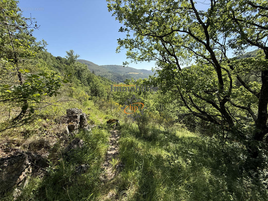 Vente Mazet Versols et Lapeyre, 1,25 hectares de terrains - photo 21