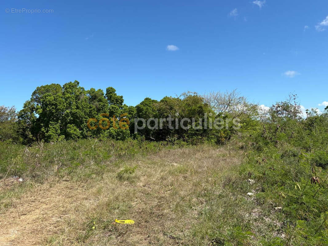 Terrain à ANSE-BERTRAND