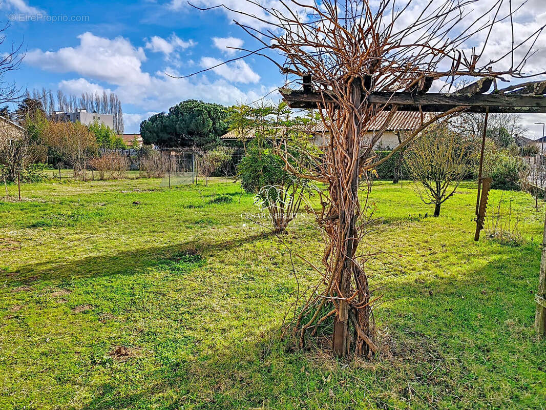 Terrain 535 m² à Saint-Georges-De-Reneins  - photo 3
