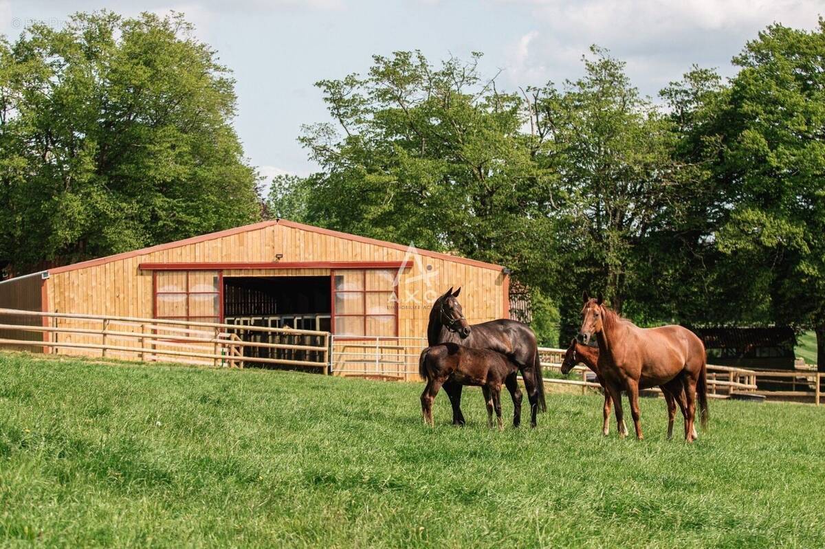Maison à LA FERTE-MACE
