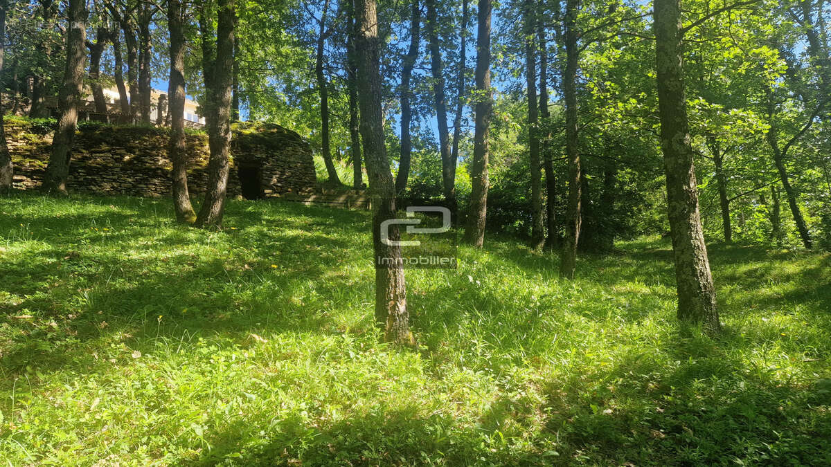 Maison à POLEYMIEUX-AU-MONT-D'OR