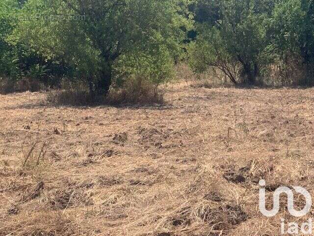 Photo 9 - Terrain à SEPTEMES-LES-VALLONS