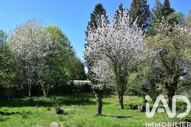 Photo 7 - Maison à DOURNAZAC