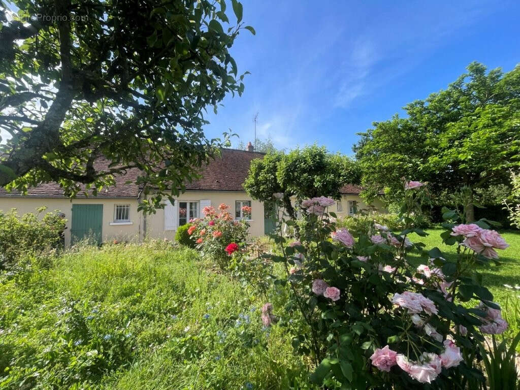 Maison à ARROU