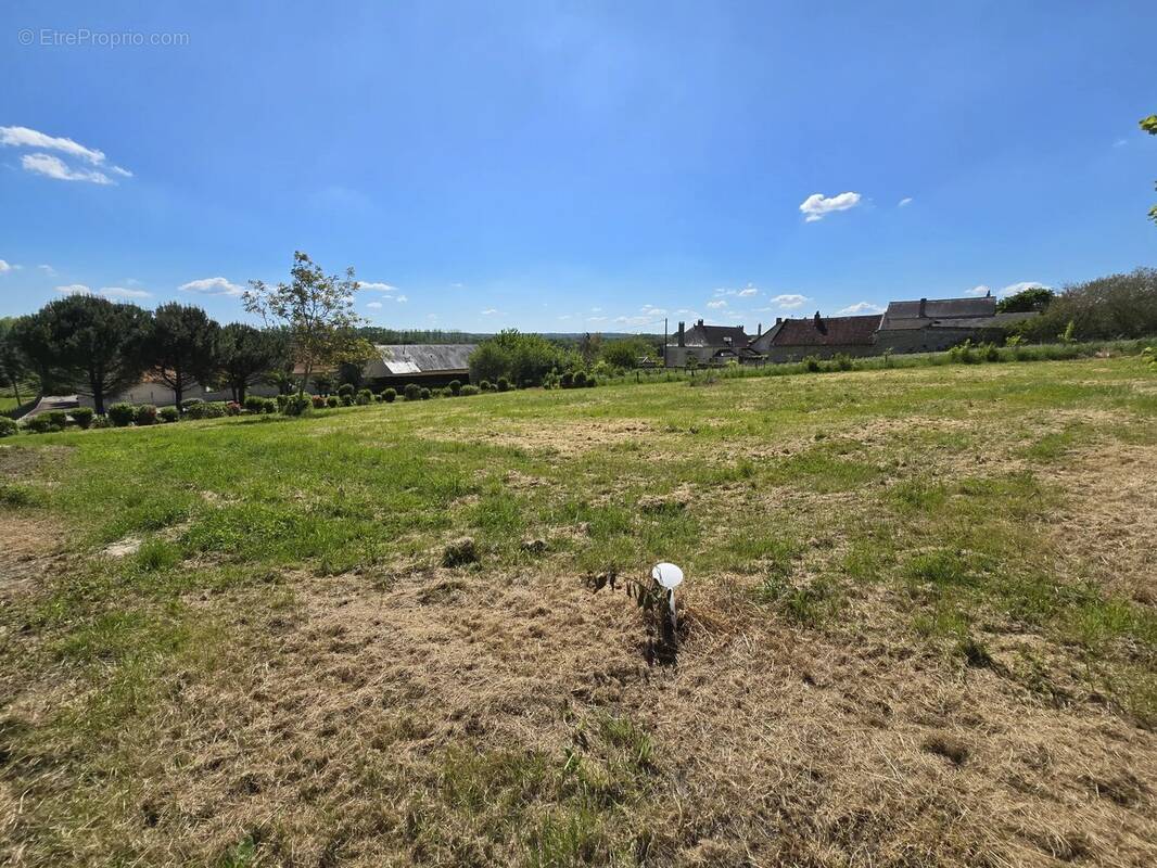 Terrain à CHINON