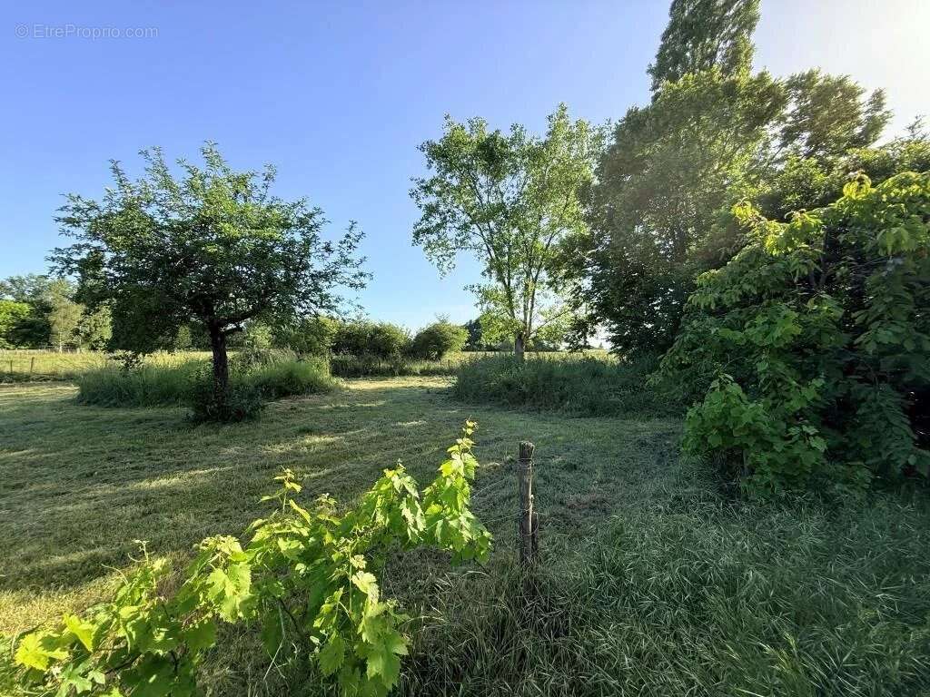 St christoly maison avec appartement sur + d'un hectare - photo 17