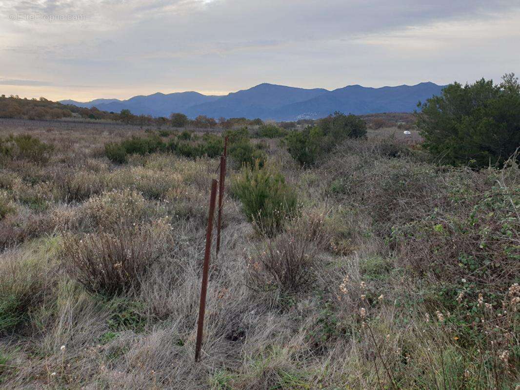 Terrain à BANYULS-DELS-ASPRES