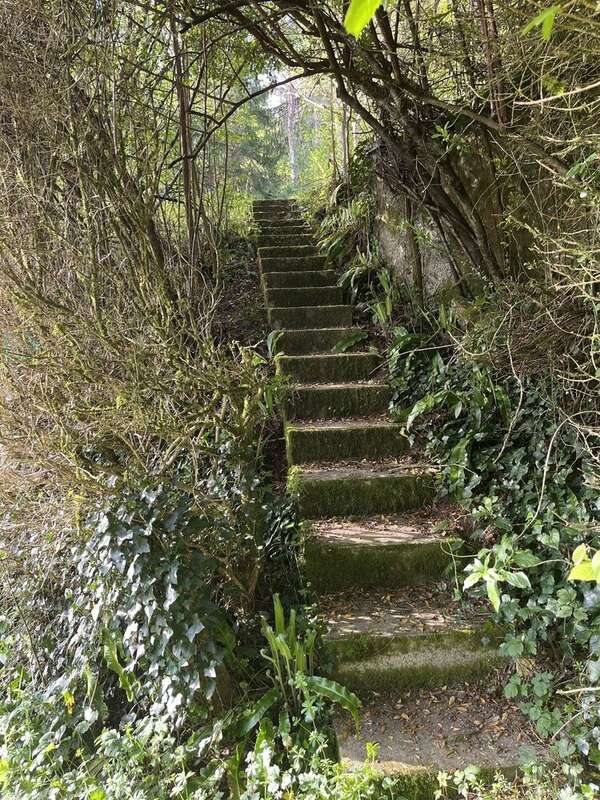 Maison de charme en Périgord Noir - photo 15