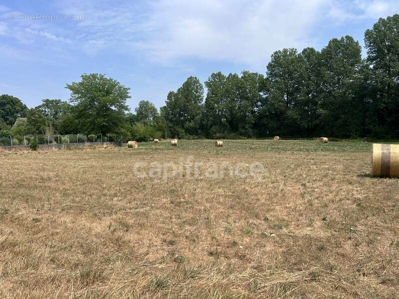 Terrain à vendre  COULAURES (24) 8637m² - photo 8